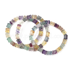 Природные флюорита браслеты из бисера&nbsp;G-H332-12