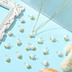 30 ciondolo rotondo con perle d'acqua dolce naturali coltivate&nbsp;FIND-CJ0001-76