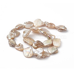 Ab цветные нити из натуральных пресноводных ракушек BSHE-G033-03B