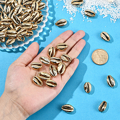 80 шт. гальванизированные натуральные бусины из ракушек каури BSHE-LT0001-06G