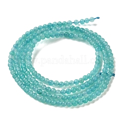 Chapelets de perles en amazonite naturelle&nbsp;G-Z150-B01-2mm