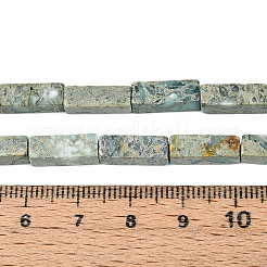 Натуральные варицитовые бусины G-T141-108