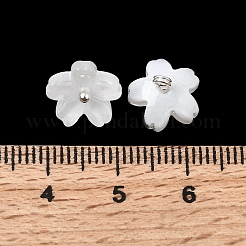 Стеклянные подвески&nbsp;GLAA-G127-05J