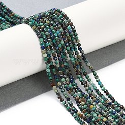 Chapelets de perles en chrysocolle et lapis lazuli naturelles&nbsp;X-G-P542-A03-02