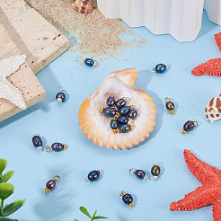 20 шт. подвески из натурального культивированного пресноводного жемчуга в двух стилях&nbsp;PALLOY-TAC0203