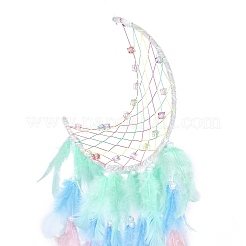 Железная тканая паутина/сетка с подвесками из перьев&nbsp;LS-AJEW-P097-08