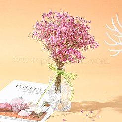 Лента из рафии&nbsp;SENE-PW0003-104I