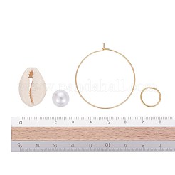 DIY серьги решений&nbsp;DIY-X0098-30