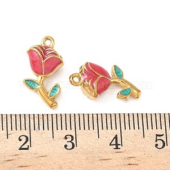 Подвески из нержавеющей стали 304 с эмалью&nbsp;STAS-I346-17G-02A