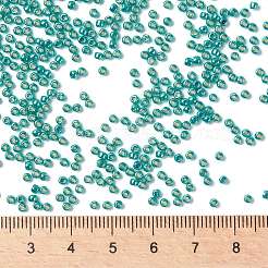 Toho runde Saatperlen&nbsp;SEED-TR11-PF0569