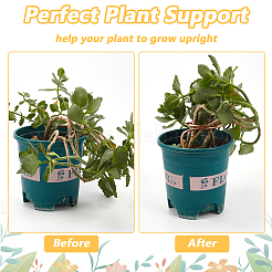 12 pièces 3 styles de support de croissance des plantes en cuivre&nbsp;DIY-NB00004