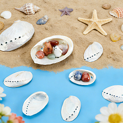 10 pz 2 stili decorazioni espositive in conchiglia naturale&nbsp;DJEW-GA0001-99