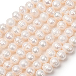 Fili di perle di perle d'acqua dolce coltivate naturali&nbsp;PA-CBABE82-11B