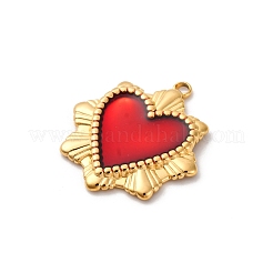 Подвески из нержавеющей стали 304 с эмалью&nbsp;STAS-D362-01G-04