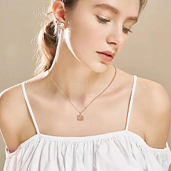 2шт. набор из двухцветного сплава с подвесками на шею NJEW-FI0001-54