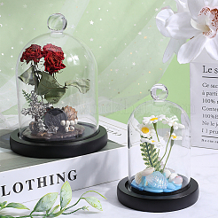 1 шт. стеклянный купол AJEW-SC0002-60B-06