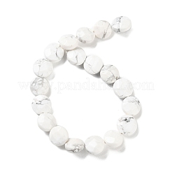 Природные Говлит бисер нитей G-K357-B06-01