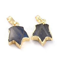 Природные подвески лабрадорита&nbsp;G-B012-11G-02