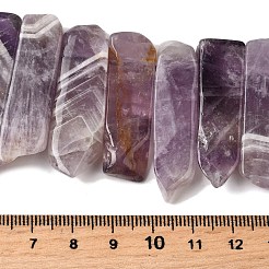 Природный аметист нитей бисера G-S386-D16