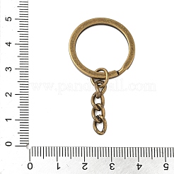 Железа отделились брелоки IFIN-H065-01AB