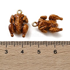 Emaille Anhänger Legierung&nbsp;FIND-Z117-08G