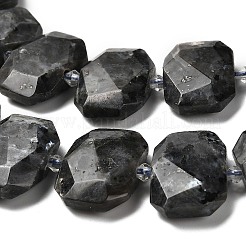 Натуральные нити бус из ларвикита G-H078-B06-01