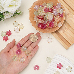 200шт 4 цвета акриловые колпачки для бусин&nbsp;OACR-PA0001-14