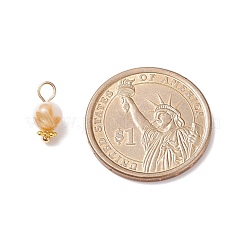 Подвески из натуральных пресноводных ракушек&nbsp;PALLOY-JF01657