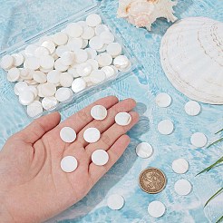 4 нить бусины из натуральных пресноводных ракушек&nbsp;BSHE-SC0001-20A