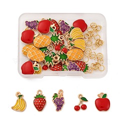 30шт 6 стиля подвески из сплава с эмалью&nbsp;ENAM-FP0002-11