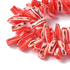 Окрашенные нити натуральных бусин-ракушек трохуса SSHEL-C013-09D