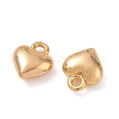 Breloques en laiton shegrace&nbsp;XGRQ7H935-963G