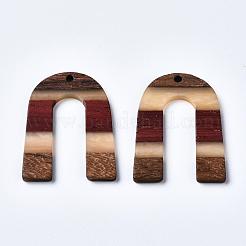 Pendentifs en bois de résine et de noyer&nbsp;X-RESI-R428-07