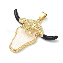 Латунь эмаль подвески&nbsp;KK-C165-04G