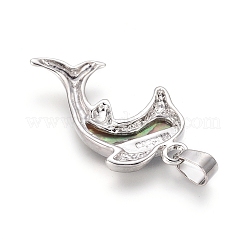 Подвески из натурального ушка / ракушки SSHEL-XCP0001-10