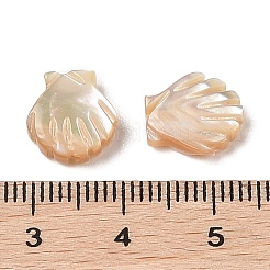 Резные бусины из натуральной ракушки трохуса SHEL-P017-08A