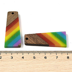 Pendentifs en résine et bois de noyer sur le thème arc-en-ciel de la fierté&nbsp;WOOD-K012-10B