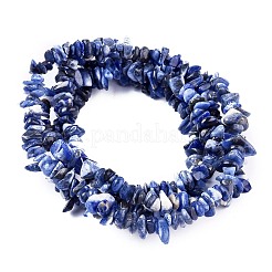 Natur Sodalith Chips Perlen Stränge&nbsp;X-F024