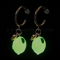 Orecchini pendenti a perno in lega con frutti luminosi&nbsp;RE-CBAB555-01G-A