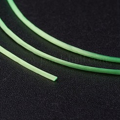 Filo di cristallo elastico piatto coreano&nbsp;EW-G005-0.5mm-2