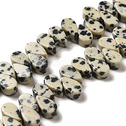 Chapelets de perles en jaspe dalmatien naturelle, larme, top foré, 9~10x5~5.5x3.5~4mm, Trou: 0.7mm, Environ 40~48 pcs/chapelet, 7.09~7.28'' (18~18.5cm).