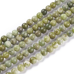 Fili di perline naturali di idocrase, perline di vesuvianite, tondo, 6mm, Foro: 1 mm, circa 69pcs/filo, 16 pollice