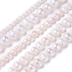Hebras de perlas de agua dulce cultivadas naturales, patata, blanco, 4~12x4~12mm, agujero: 0.5~1 mm, aproximamente 28~100 pcs / cadena, 13.8 pulgada ~ 15.7 pulgadas (35~40 cm)