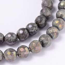 Electroplate Natural Labradorite Round Bead Strands, Faceted, 6mm, Hole: 1mm, about 62pcs/strand, 14.9 inch