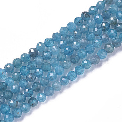 Chapelets de perles en apatite naturelle, facette, ronde, 2~2.5x2mm, Trou: 0.2mm, Environ 158~205 pcs/chapelet, 15.7~16.7 pouce (40~42.5 cm)