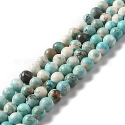 Brins de perles de magnésite naturelle, teints et chauffée, ronde, turquoise, 6~6.5mm, Trou: 1.2mm, Environ 65 pcs/chapelet, 15.63'' (39.7 cm)