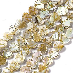 Brins de perles de coquille d'eau douce naturelles de style drawbench, de couleur plaquée ab , cœur, colorées, 10x10~10.5x3mm, Trou: 0.5mm, Environ 37~38 pcs/chapelet, 13.07~13.31 pouce (33.2~33.8 cm)