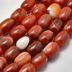 Fili di perle di agata sardonica naturale, barile, firebrick, 17~18x13mm, Foro: 2 mm, circa 21pcs/filo, 15.16 pollice~15.35 pollici