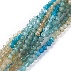 Chapelets de perles en apatite naturelle, ronde, facette, 3mm, Trou: 0.7mm, Environ 123 pcs/chapelet, 15.35 pouce (39 cm)