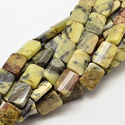 Natural Yellow Turquoise(Jasper) Rectangle Beads Strands, 18x13x6mm, Hole: 1mm, about 23pcs/strand, 15.7 inch